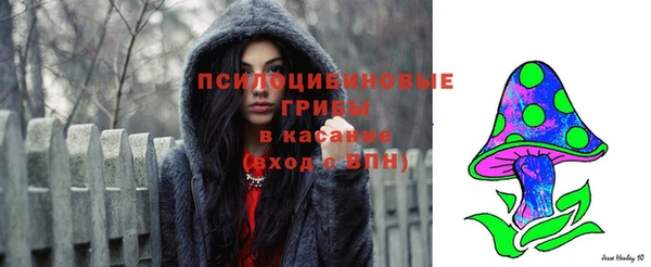спайс Кодинск
