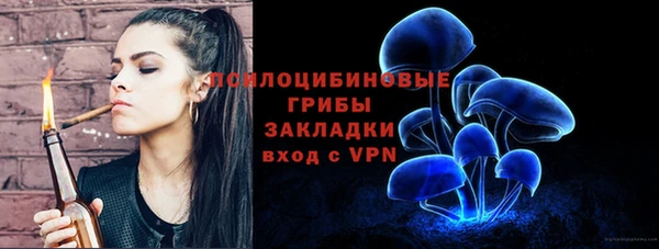 спайс Кодинск
