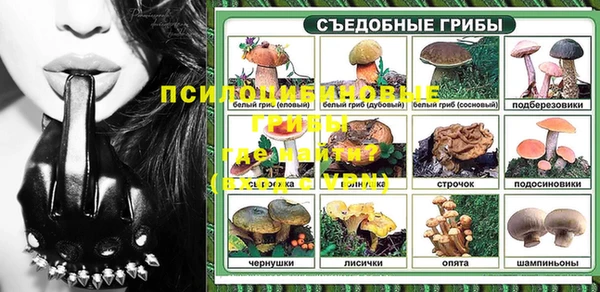 таблы Козловка