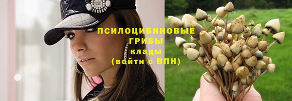 спайс Кодинск