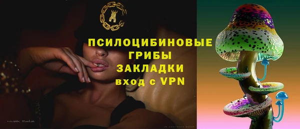 спайс Кодинск