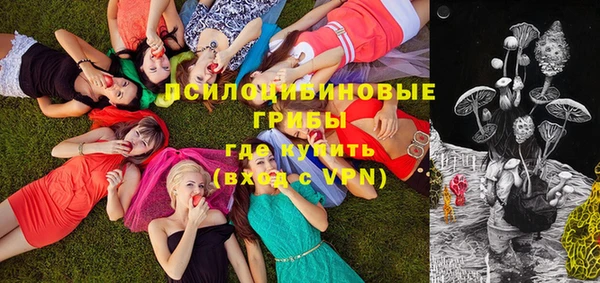 спайс Кодинск