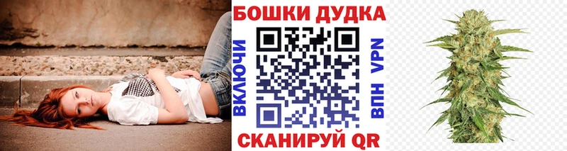 Бошки Шишки конопля  Купить  Арсеньев 